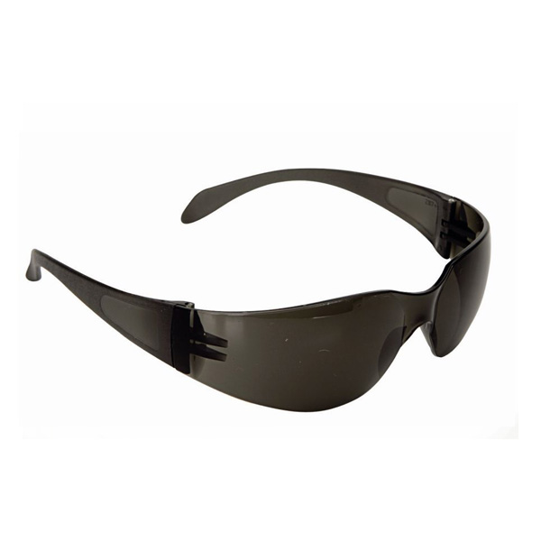 Climax Safety Glasses 590-G